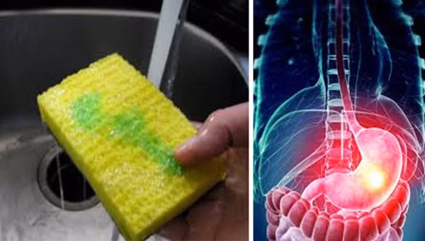 Điều bạn cần làm để tránh nhiễm bệnh từ giẻ rửa bát ảnh 1