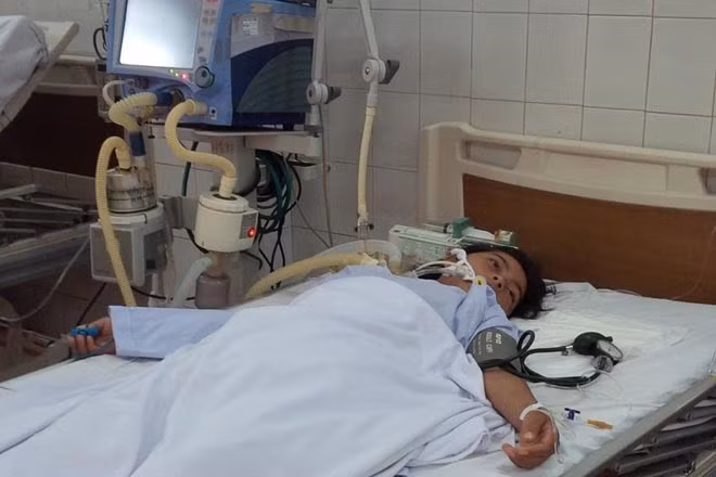 Ăn cá nóc, ba mẹ con nhập viện ảnh 1