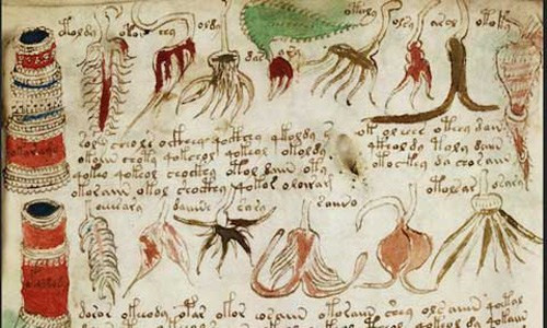 Những bí ẩn muôn đời đánh đố nhân loại ảnh 7