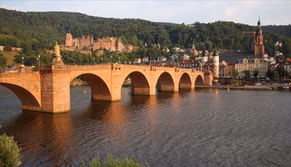 Ngôi trường “tinh hoa” trong kiến trúc ảnh 2