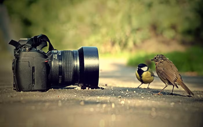 Ảnh minh họa/INT.