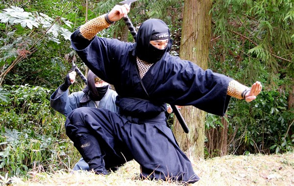 Ninja - Chiến binh bí ẩn ảnh 1 Ninja - Chiến binh bí ẩn ảnh 1