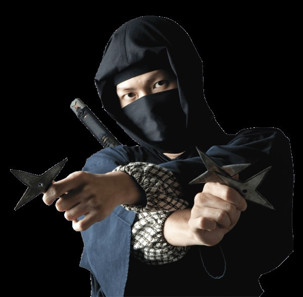 Ninja - Chiến binh bí ẩn ảnh 2 Ninja - Chiến binh bí ẩn ảnh 2