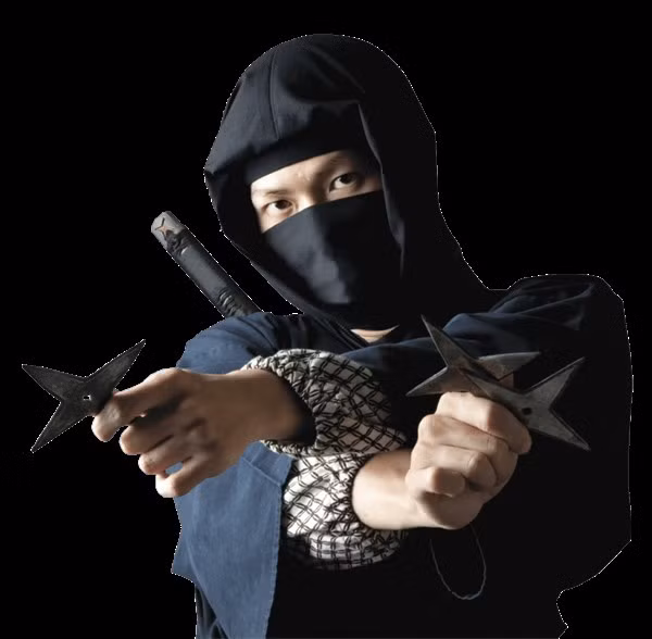 Ninja - Chiến binh bí ẩn ảnh 2