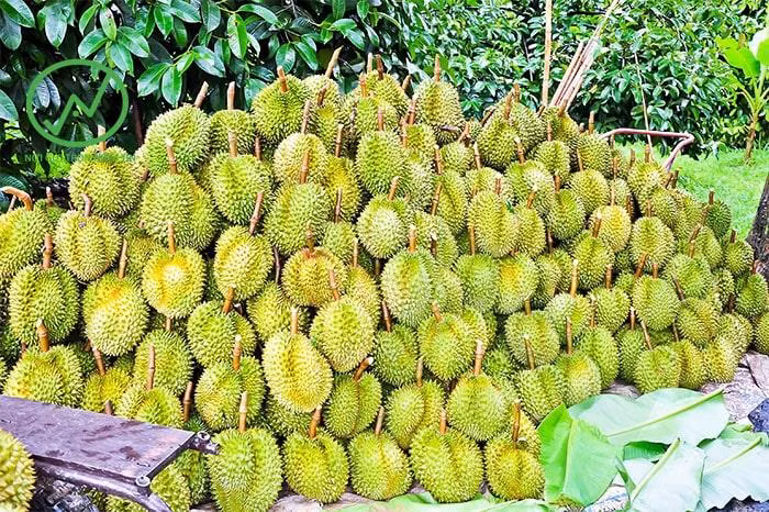 Ảnh minh họa/INT