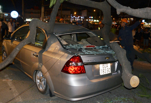 Ô tô 4 chỗ bị cây đè hư hỏng. Ảnh: An Nhơn