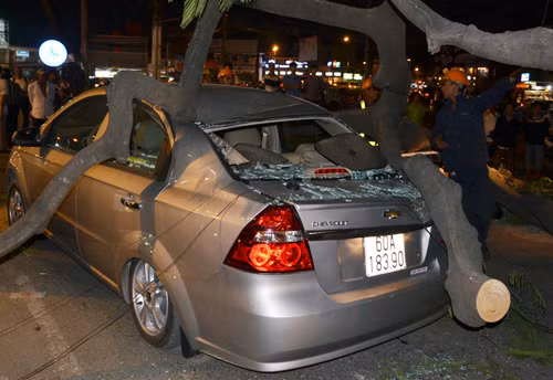 Ô tô 4 chỗ bị cây đè hư hỏng. Ảnh: An Nhơn