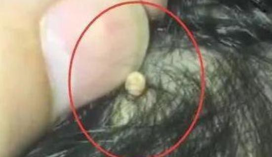 chăm sóc trẻ 0 vệ sinh cho trẻ, chăm trẻ, kỹ năng sống, dạy con vệ sinh