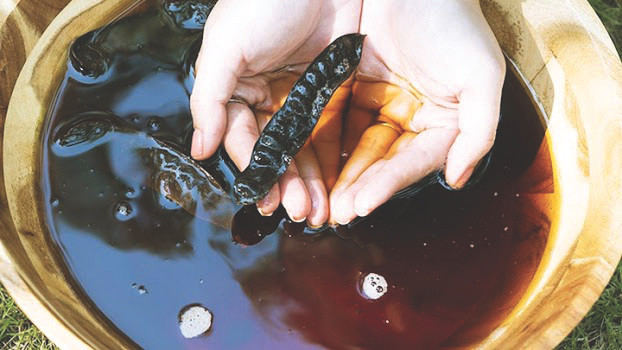 Ảnh minh họa: ITN