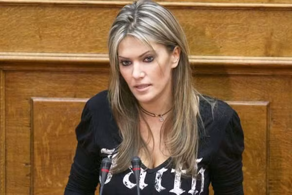 Eva Kaili là thành viên của Quốc hội Hellenic ở Hy Lạp và từng là phát thanh viên truyền hình. Cô cũng từng là thành viên Diễn đàn Hợp tác kinh tế Biển Đen (BSEC), nghị viện của NATO và Hội đồng Nghị viện Liên minh Địa Trung Hải. Eva Kaili was a member of the Hellenic Parliament and is a former television news presenter. She is also a member of the Black Sea Economic Cooperation (BSEC), of the NATO Parliamentary Assembly and of the Parliamentary Assembly of the Union for the Mediterranean.