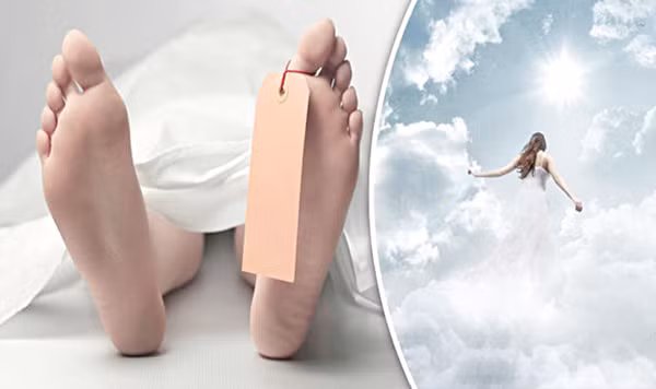 Ảnh minh họa/INT