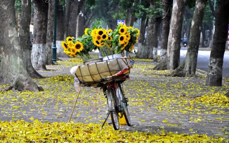 Ảnh minh họa/INT