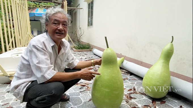 Cực lạ: Lấy hạt bầu khô cả chục năm đi gieo, cho trái khổng lồ 30kg hình ảnh 6 cuc la: lay hat bau kho ca chuc nam di gieo, cho trai khong lo 30kg hinh anh 6