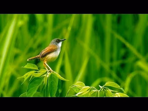 Ảnh minh họa/INT.