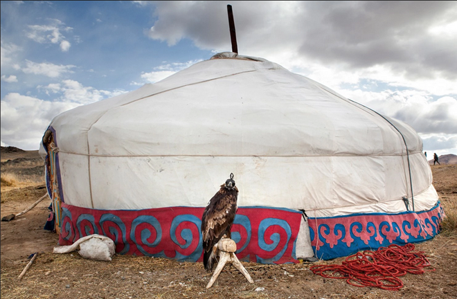 Đi săn cùng đại bàng tại thảo nguyên Mông Cổ