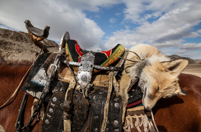 Đi săn cùng đại bàng tại thảo nguyên Mông Cổ