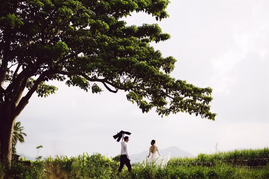 Một cặp đôi chụp ảnh cưới bên gốc cây cô đơn