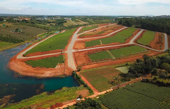 Lâm Đồng chỉ đạo xử lý các vướng mắc, khó khăn liên quan đến việc phân lô, tách thửa và kinh doanh bất động sản trên địa bàn các huyện, thành phố.