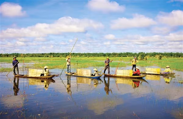 Săn cá trên đồng mùa nước nổi.