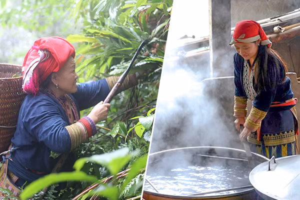 Người phụ nữ Dao đi lấy lá thuốc và nấu thành hỗn hợp nước tắm tốt cho sức khỏe.