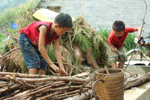 Ngày hè của trẻ em người Mông