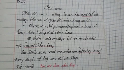 Bài văn khiến nhiều người bật cười.