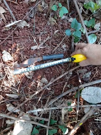 Lời khai nghi phạm 17 tuổi sát hại thiếu nữ 16 tuổi trong vườn cao su ảnh 1 Chú thích ảnh