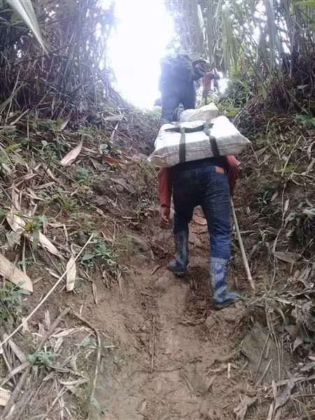 Bà con Cheng Toong cõng từng viên gạch vượt dốc về bản xây bể nước.