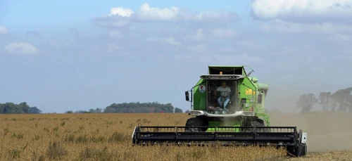 Tranh cãi thực phẩm biến đổi gen ở Argentina