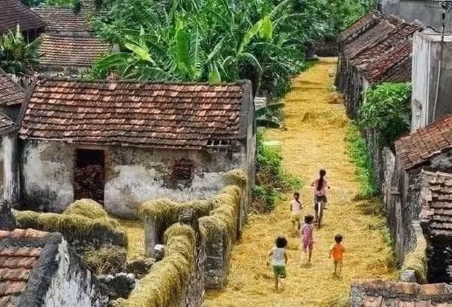 Ảnh minh họa/INT.