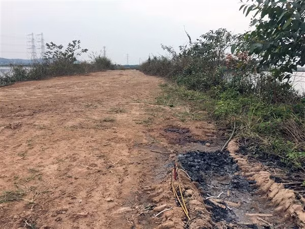 Hiện trường vụ án.