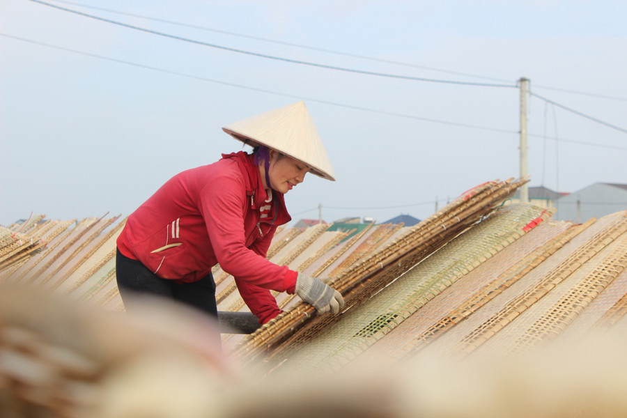 Nghề bánh đa nem giải quyết việc làm cho nhiều lao động ở các vùng lân cận. Nghề bánh đa nem giải quyết việc làm cho nhiều lao động ở các vùng lân cận.