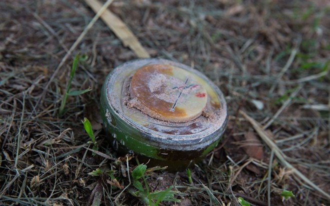 Quy trình huấn luyện chuột phá mìn ở Campuchia