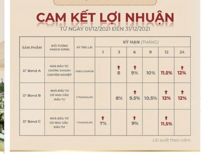 Bảng lợi nhuận trái phiếu lên tới 12%/năm của Tân Hoàng Minh.