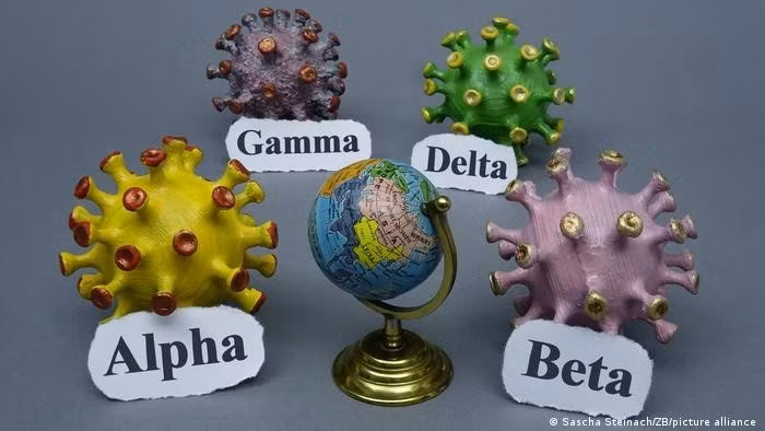 Ảnh minh họa/INT