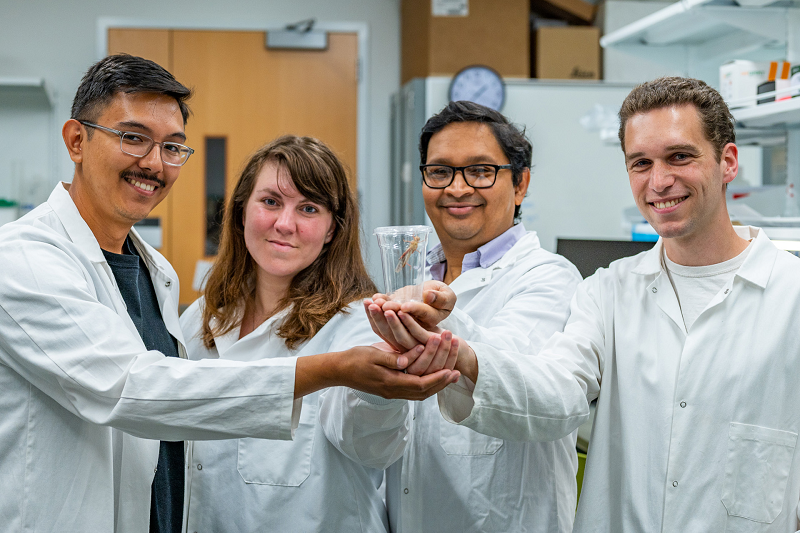 Thành viên tham gia nghiên cứu cào cào tại phòng thí nghiệm của MSU. Thành viên tham gia nghiên cứu cào cào tại phòng thí nghiệm của MSU.