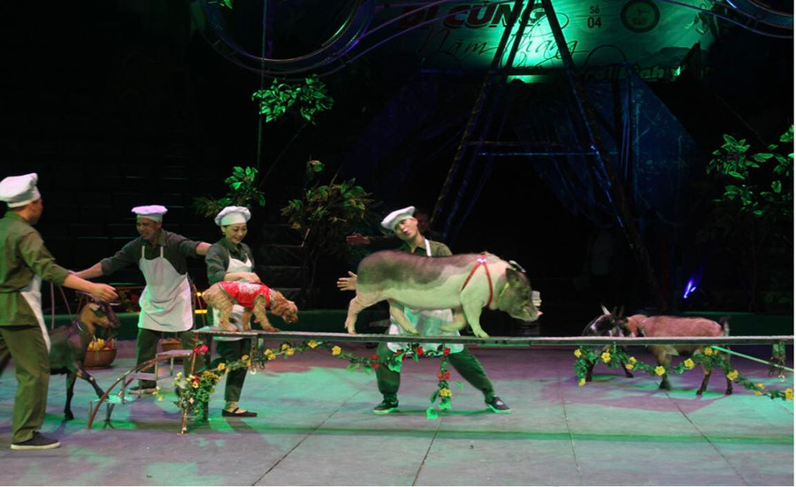 Hoạt cảnh 'Lê anh nuôi' trong chương trình 'Đi cùng năm tháng' của Liên đoàn Xiếc Việt Nam. Ảnh: LĐXVN. Hoạt cảnh 'Lê anh nuôi' trong chương trình 'Đi cùng năm tháng' của Liên đoàn Xiếc Việt Nam. Ảnh: LĐXVN.