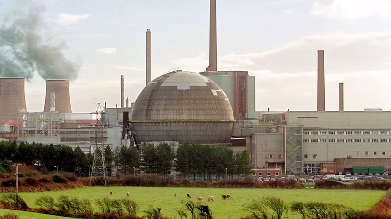 Đàn bò gặm cỏ ngay sát cơ sở tái chế hạt nhân Sellafield tại Cumbria, Anh