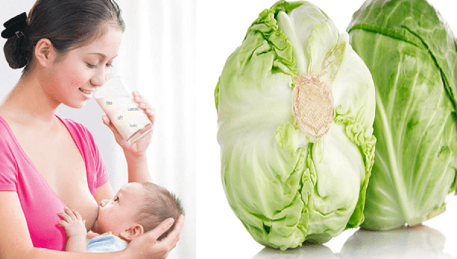 Bắp cải là thực phẩm giúp loại bỏ các độc tố từ đường tiêu hóa để làm sạch hệ tiêu hóa của bạn.