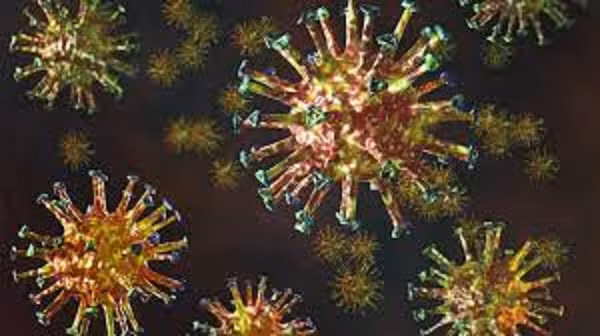 Ảnh minh họa/INT