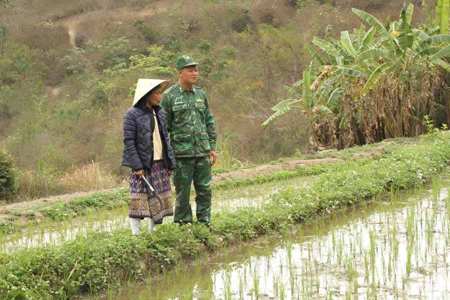 Thiếu tá Pịt Văn Mương, Đồn Biên phòng Mường Ải hướng dẫn bà Hoa Mẹ Ngành sản xuất lúa vụ Đông Xuân.