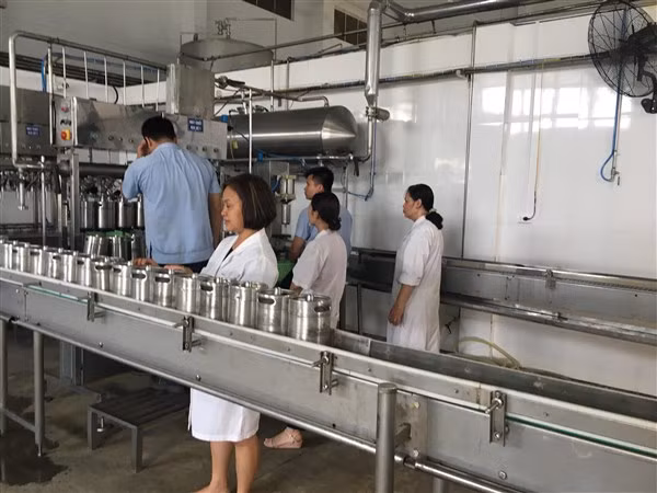 Thức uống lên men từ gừng “made in” Việt Nam ảnh 1