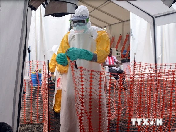 Thuốc chống Ebola sắp được thử nghiệm lâm sàng tại Tây Phi