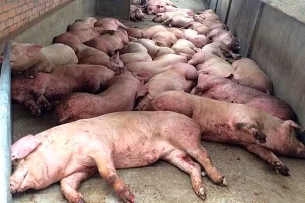 Ảnh minh họa/INT