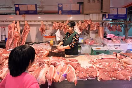 Vì sao giá thịt lợn tăng đến chóng mặt trong thời gian vừa qua?