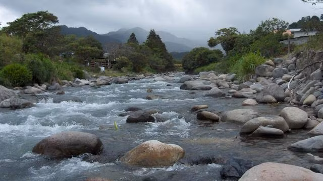 ngoi nha doc di cheo leo tren mom da, hut tram khach moi ngay hinh anh 4