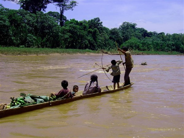 Người Tsimané giỏi nghề đánh bắt cá.