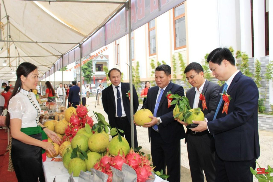 Các đại biểu tham quan các gian hàng giới thiệu sản phẩm nông sản.