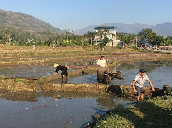 Nhờ chính sách xoá nghèo linh hoạt và hiệu quả, người dân xã Gia Phù, huyện Phù Yên đã tích cực tăng gia sản xuất và có cuộc sống sung túc.