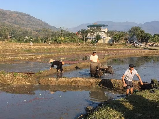 Nhờ chính sách xoá nghèo linh hoạt và hiệu quả, người dân xã Gia Phù, huyện Phù Yên đã tích cực tăng gia sản xuất và có cuộc sống sung túc.